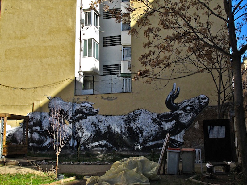 Esta es una Plaza. Roa