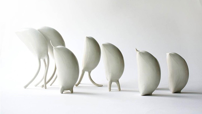 Beatriz Pachon_panoramica