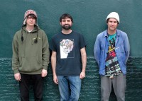 animal collective