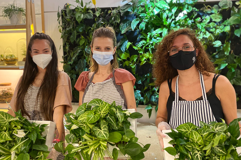 Greenworks Madrid Regala un jardín vertical a quien más quieras