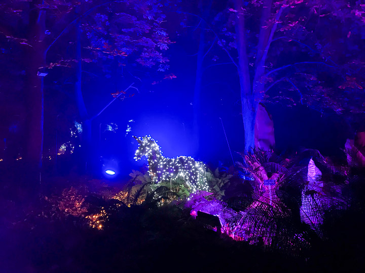 Naturaleza Encendida enciende la Navidad en el Real Jardín Botánico