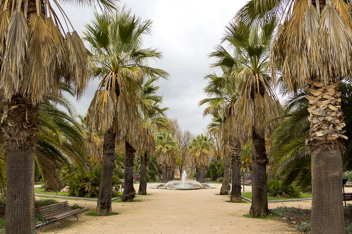 CARABANCHEL PARQUE DE SAN ISIDRO Jardín de las Palmeras