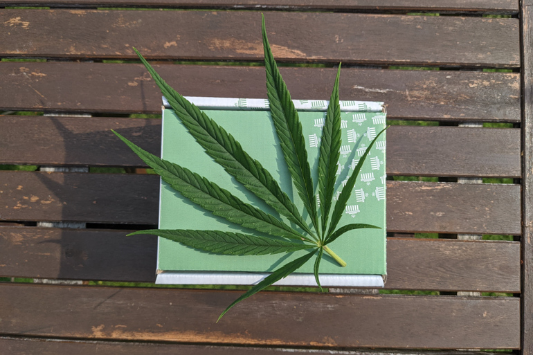 Comprar CBD a domicilio en Madrid