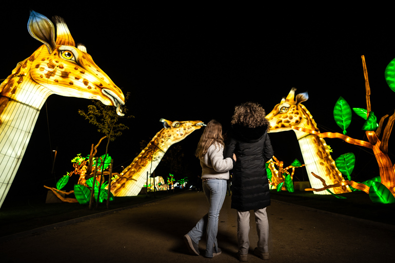 Explosión de luz, color y naturaleza: el encanto de Brilla Madrid
