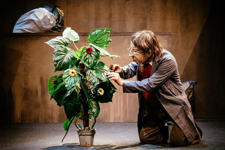 Feste, el cuento de hadas y máscaras para adultos
