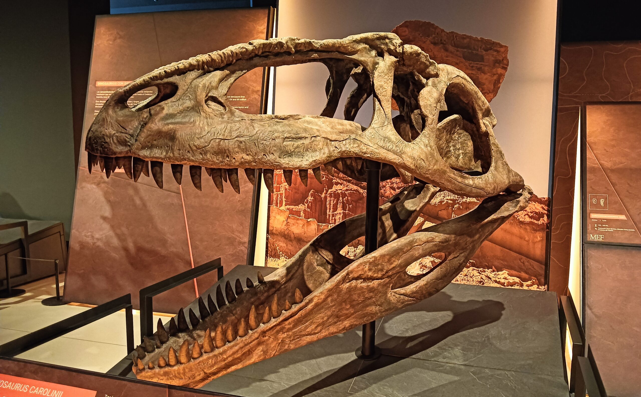 exposición Caixa Forum DINO
